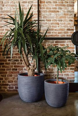 Round Egg Resin Planter by Cadix Capi Tutch Ribbed