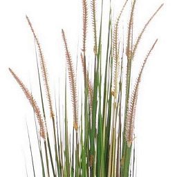 ONION GRASS Artificial Grass Plant