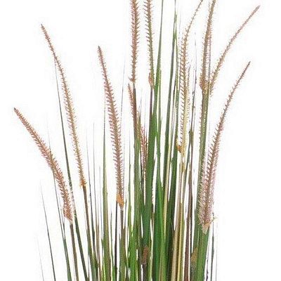 ONION GRASS Artificial Grass Plant