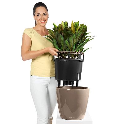 LECHUZA CLASSICO LS Round Poly Resin Self-watering Planter Set