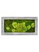Moss Painting Raw Rectangle