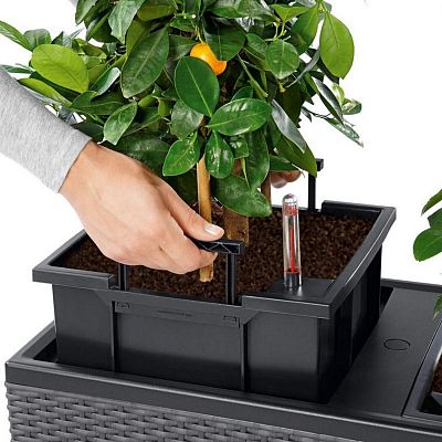 LECHUZA TRIO Cottage Trough Poly Resin Self-watering Planter