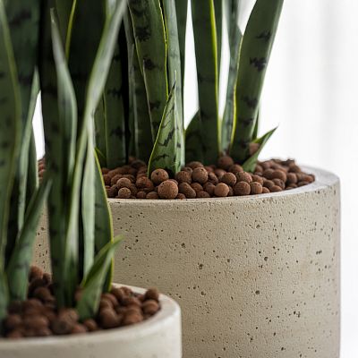 Cement & Stone Round Planter | Indoor and Outdoor Plant Pot