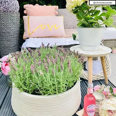 IDEALIST Lite Large Ribbed Light Concrete Bowl Planter