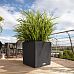 LECHUZA CUBE Cottage Square Poly Resin Self-watering Planter
