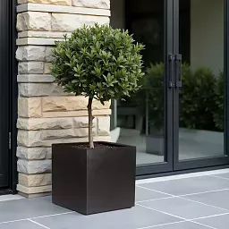 IDEALIST Lite Square Box Contemporary Light Concrete Planter