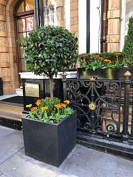 IDEALIST Lite Square Box Contemporary Light Concrete Planter
