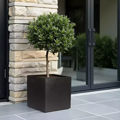 IDEALIST Lite Square Box Contemporary Light Concrete Planter