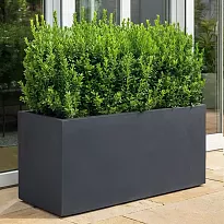 IDEALIST Lite Contemporary Trough Garden Planter, Faux Lead Dark Grey ...
