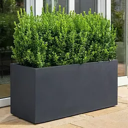 IDEALIST Lite Contemporary Light Concrete High Trough Planter