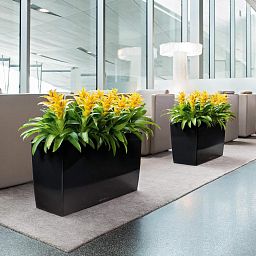 LECHUZA CARARO Trough Poly Resin Self-watering Planter