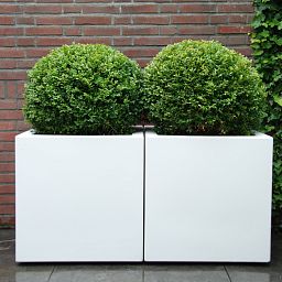 PURE Cube Outdoor Fiberglass Planter