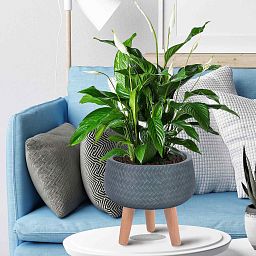 IDEALIST Lite Plaited Style Bowl Planter on Legs, Round Pot Plant Stand Indoor