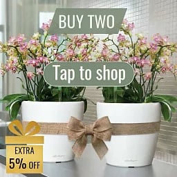 LECHUZA CLASSICO Color Round Poly Resin Self-watering Planter