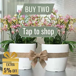 LECHUZA CLASSICO Color Round Poly Resin Self-watering Planter