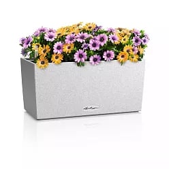 LECHUZA BALCONERA Stone Trough Poly Resin Self-watering Planter