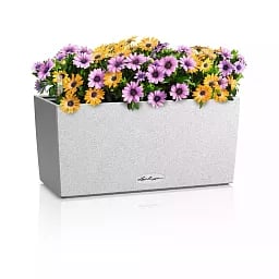 LECHUZA BALCONERA Stone Trough Poly Resin Self-watering Planter