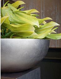 ROYAL Bowl Polystone Planter