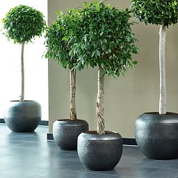Loft Circle Round Polystone Outdoor Planter