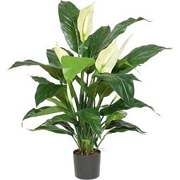 Business Artificial Flower Plants Sets