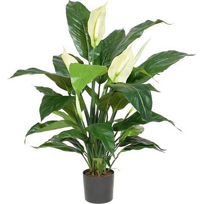 Business Artificial Flower Plants Sets