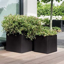 IDEALIST Lite Square Box Contemporary Light Concrete Planter Set