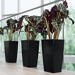 LECHUZA CUBICO Square Tall Poly Resin Self-watering Planter