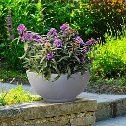 IDEALIST Lite Dish Style Smooth Bowl Outdoor Planter