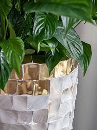 Oceana Partner Tall Indoor Planter