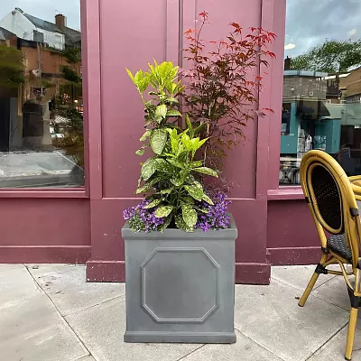 IDEALIST Lite Faux Lead Chelsea Box Square Light Concrete Planter