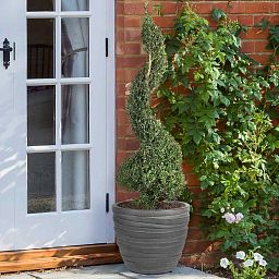IDEALIST Lite Row Light Concrete Egg Planter