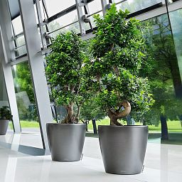 LECHUZA CLASSICO LS Round Poly Resin Self-watering Planter