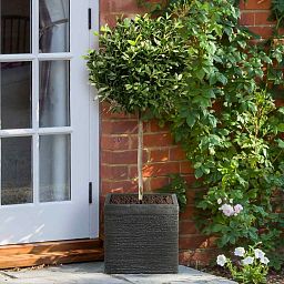 IDEALIST Lite Ribbed Light Concrete Square Planter