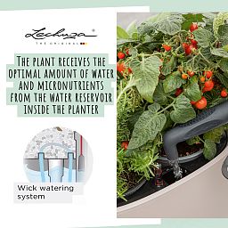 LECHUZA PILA Color Stick Square Poly Resin Self-watering Planter