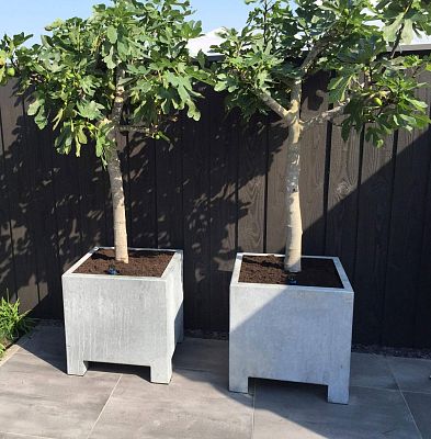 Vadim Outdoor Galvanised Steel Square Planter