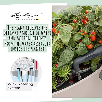 LECHUZA PILA Color Stick Square Poly Resin Self-watering Planter