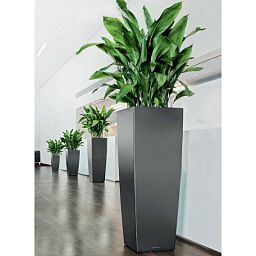 LECHUZA CUBICO ALTO Square Tall Poly Resin Self-watering Planter