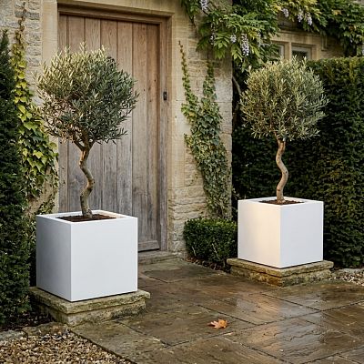 IDEALIST Lite Square Box Contemporary Light Concrete Planter