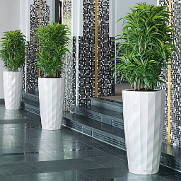 LECHUZA DIAMANTE Premium Matt Round Tall Poly Resin Self-watering Planter