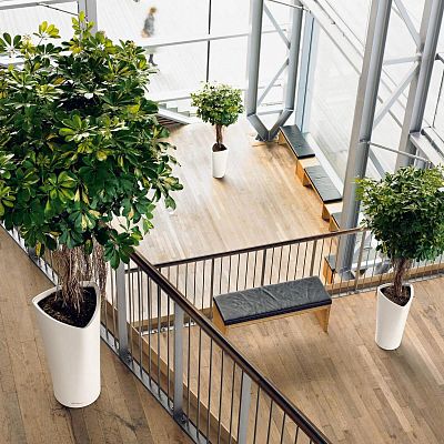 LECHUZA DELTA Round Tall Poly Resin Planter Only