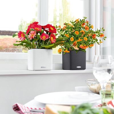 LECHUZA CUBE Color Square Poly Resin Indoor Self-watering Planter