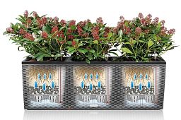 LECHUZA TRIO Cottage Trough Poly Resin Self-watering Planter