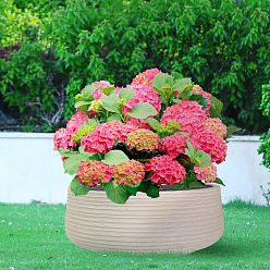 Large Ribbed Light Concrete Bowl Planter by Idealist Lite Large Ribbed Light Concrete Bowl Planter by Idealist Lite