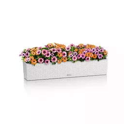 LECHUZA BALCONERA Cottage Trough Poly Resin Self-watering Planter