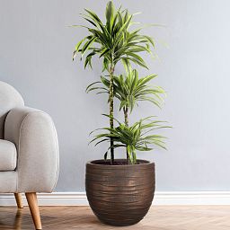 IDEALIST Lite Row Style Round Indoor Planter