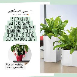 LECHUZA PON Peat-Free Houseplant Potting Mix for Indoor Plants Potting Compost for Plants Indoors