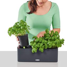 LECHUZA CUBE Color Square Poly Resin Indoor Self-watering Planter Set