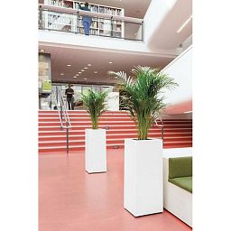PREMIUM TOWER Planting Column Tall Plastic Planter