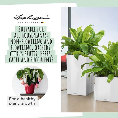 LECHUZA PON Peat-Free Houseplant Potting Mix for Indoor Plants Potting Compost for Plants Indoors