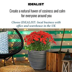 IDEALIST Lite Row Light Concrete Egg Planter